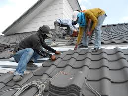 Best Roof Maintenance and Cleaning  in Chenoa, IL